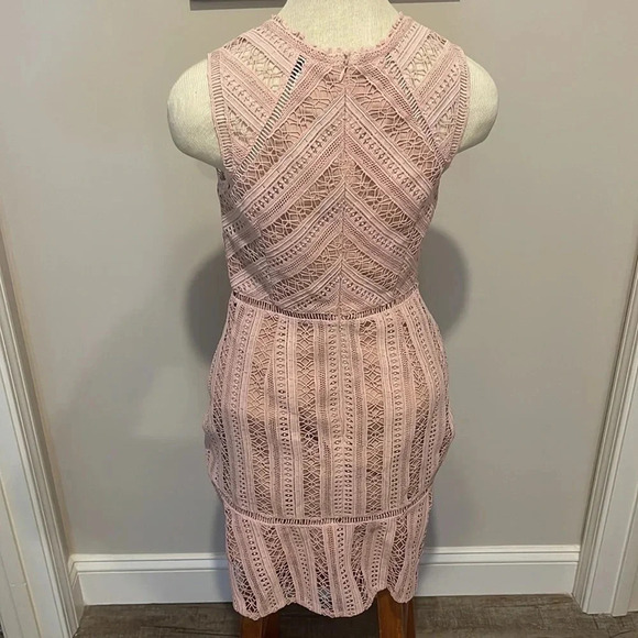 Anthropologie Greylin - Emilia Lace Mini Dress - Chalk Rose - Size Small - Picture 7 of 14